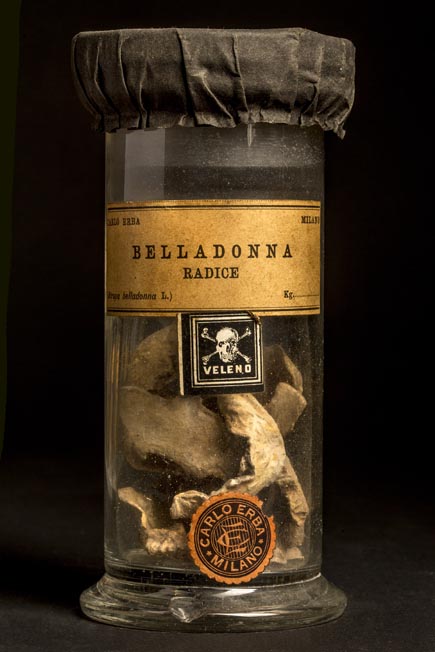 BELLADONNA - radice